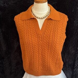 Rachel Zoe V-Neck Cable Knit Sweater Vest - Rust